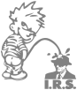 Calvin Pissing on the IRS