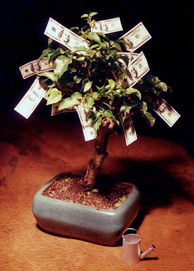 Money Tree LOL